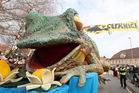 ZLATA POROKA PUSTNI KARNEVAL 64 FOTO LJUBO VUKELIČ